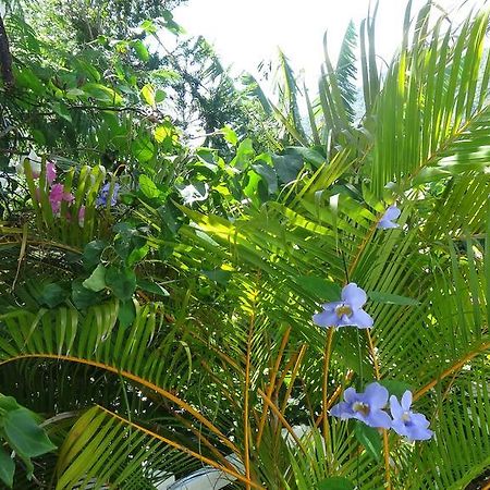 لا جاوليتي Bed And Breakfast Maison Papaye المظهر الخارجي الصورة