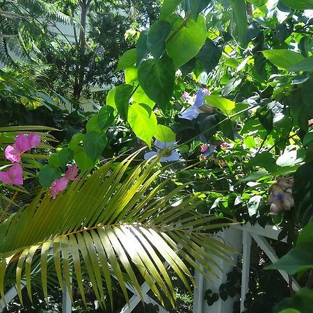 لا جاوليتي Bed And Breakfast Maison Papaye المظهر الخارجي الصورة
