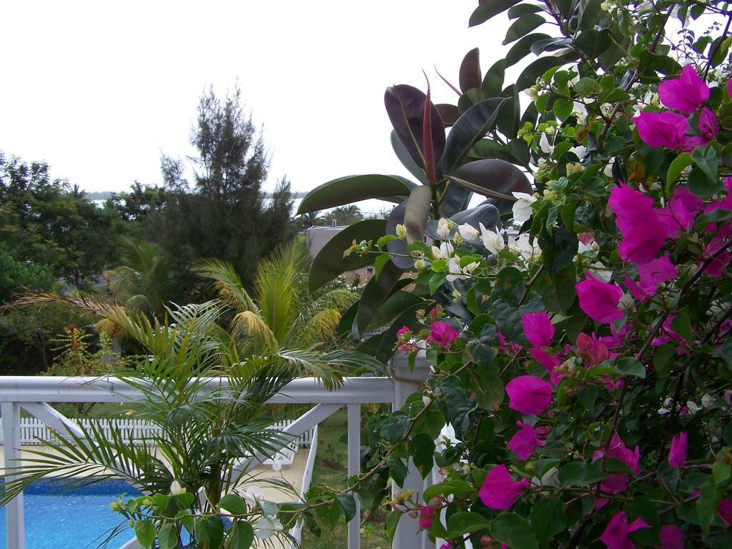 لا جاوليتي Bed And Breakfast Maison Papaye المظهر الخارجي الصورة