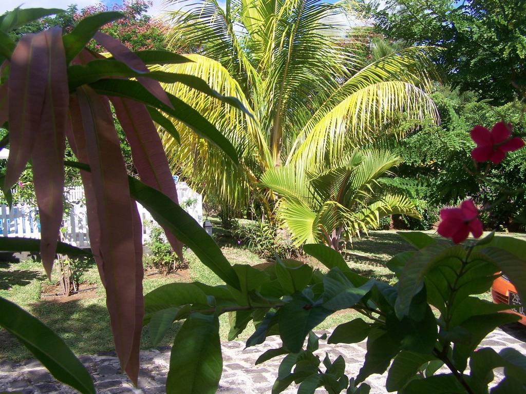 لا جاوليتي Bed And Breakfast Maison Papaye المظهر الخارجي الصورة