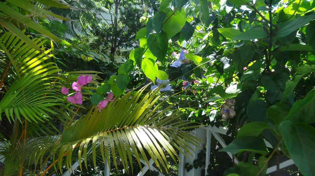 لا جاوليتي Bed And Breakfast Maison Papaye المظهر الخارجي الصورة