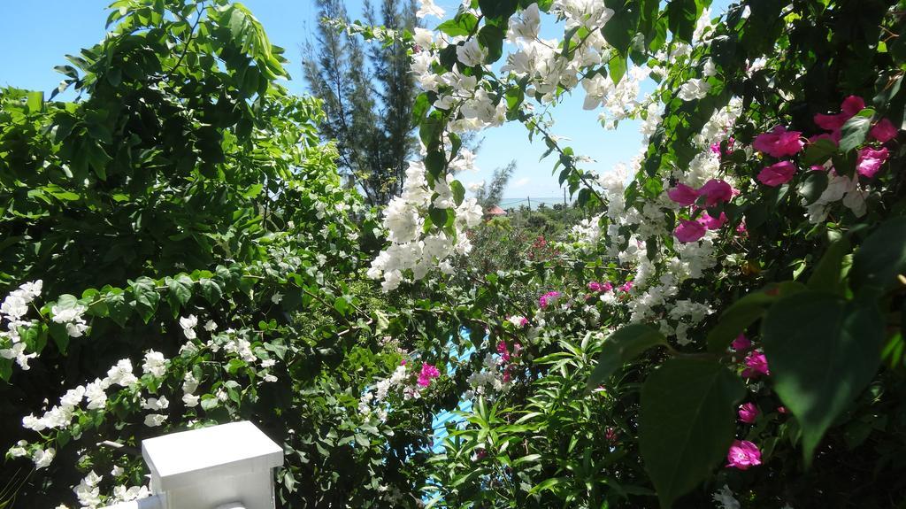 لا جاوليتي Bed And Breakfast Maison Papaye المظهر الخارجي الصورة